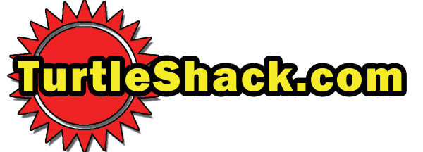 Turtle Shack