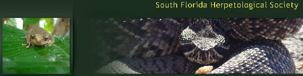 South Florida Herp Society